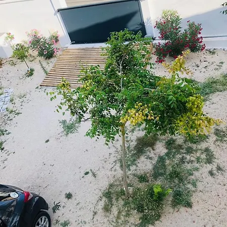 Daire Proche Avignon Au Calme Les Angles (Gard)